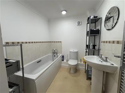 Picture 11